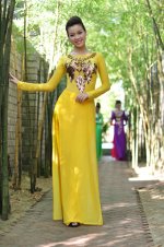 Défilé d'ao dai 