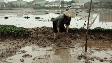 2013-LamLe_CongBinh-boue-du-vn