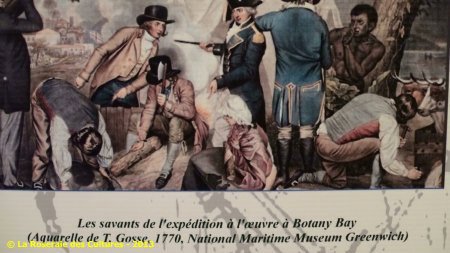 « Le fabuleux voyage des plantes » du Groupe Edouard Maubert