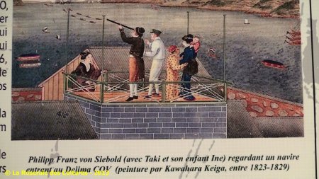 « Le fabuleux voyage des plantes » du Groupe Edouard Maubert
