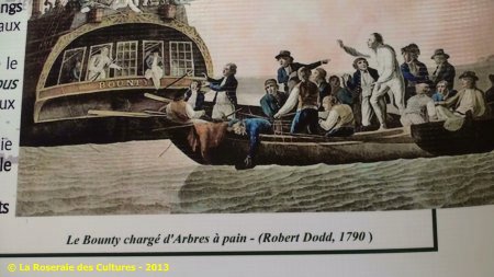 « Le fabuleux voyage des plantes » du Groupe Edouard Maubert