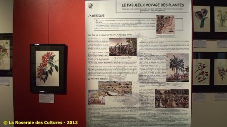 « Le fabuleux voyage des plantes » du Groupe Edouard Maubert