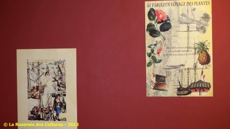 « Le fabuleux voyage des plantes » du Groupe Edouard Maubert
