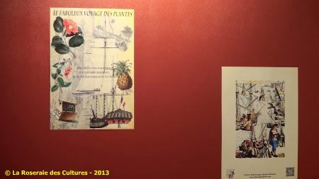 « Le fabuleux voyage des plantes » du Groupe Edouard Maubert