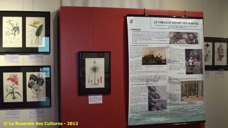 « Le fabuleux voyage des plantes » du Groupe Edouard Maubert