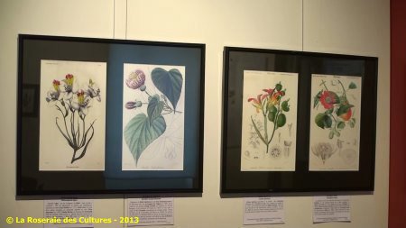 « Le fabuleux voyage des plantes » du Groupe Edouard Maubert