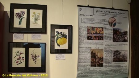 « Le fabuleux voyage des plantes » du Groupe Edouard Maubert
